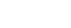 wordpress 1